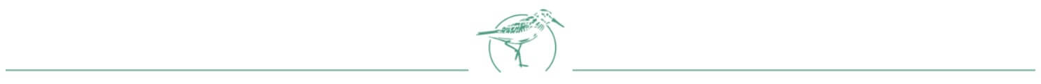 Sandpiper Icon and line