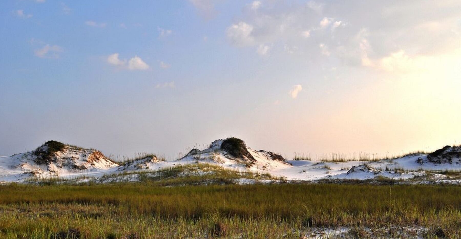 grayton-beach-sand-dunes