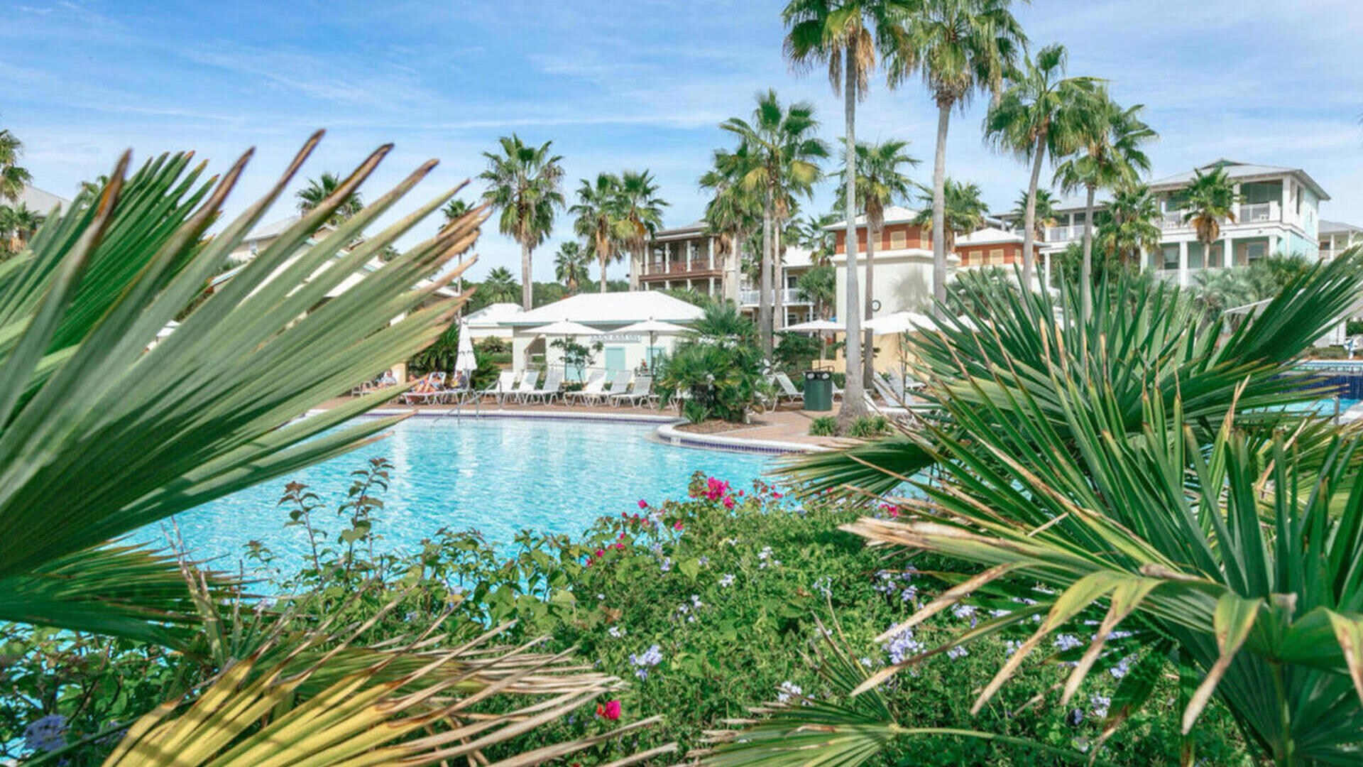 Seacrest pool and greenery