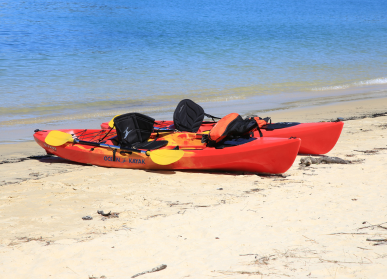 Kayaks on a sandy beach shore